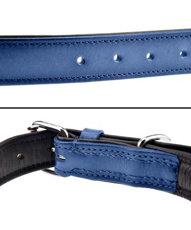 Luxury Leather Sniffing Fans Dog Collar - Padded Design for Medium Large & Small Dogs (L - 36-45cm Blue) - Buy Online on GoSupps.com