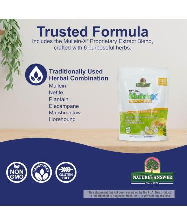 Nature's Answer Mullein X Respiratory Soothing Throat Lozenges 24 Count Alcohol Free Herbal Cough Support with Mullein Marshmallow English Ivy & Honey Non GMO Gluten Free - Buy Online on GoSupps.com