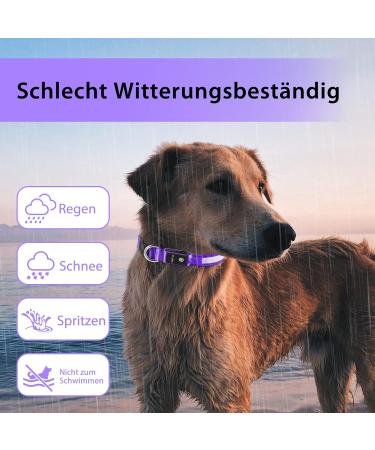LED Dog Collar - Waterproof Color Changing Adjustable Light Collar for Small & Medium Dogs - Night Safety - PCEOTLLAR - Purple S (28-40cm) - Buy Online on GoSupps.com