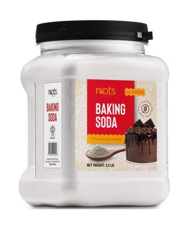 Roots Circle Baking Soda | Bulk Pack 1 35.2oz Airtight Container | Gluten-Free All-Purpose Sodium Bicarbonate for Cooking & Baking|All-Natural Cleaning Agent & Deodorizer for Fridge, Carpet, Laundry 1 Pack
