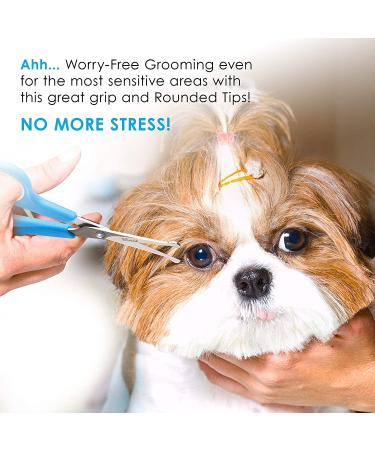 BOSHEL Dog Grooming Scissors Set - Safe Rounded Tips - Micro Serrated Trimming Scissors for Face, Ear, Nose & Paw - Dog Grooming Shears Set 2 Pack - Buy Online on GoSupps.com