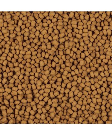 Tetra ReptoMin Energy Complete Turtle Food for All Water Turtles 100 ml - Buy Online on GoSupps.com