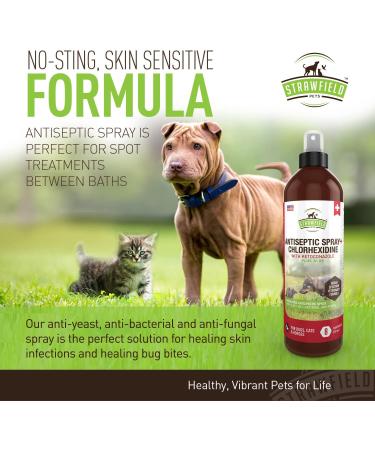 8 oz. Chlorhexidine Spray for Dogs & Cats with Ketoconazole & Aloe | Hot Spot & Skin Infection Treatment | Antifungal & Antibacterial Relief - Buy Online on GoSupps.com