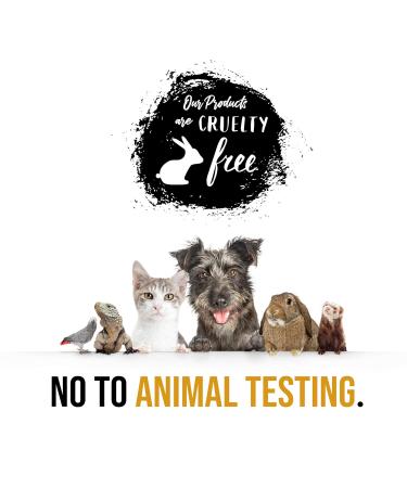 Deluxe Bath and Body Gift Basket for Men & Women | 6-Piece French Vanilla Collection Perfect Appreciation Gift - Buy Online on GoSupps.com