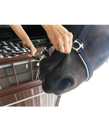 EQUISAL Tapeworm Check for Horses | Accurate Saliva Test for Tapeworm Detection - Fast International Shipping - Buy Online on GoSupps.com