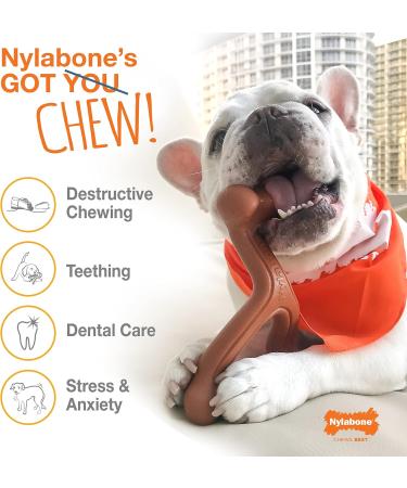 Nylabone Rawhide Alternative Knotted Bone - Beef Flavor for Medium Dogs (up to 16 kg) | Shop Internationally - Buy Online on GoSupps.com