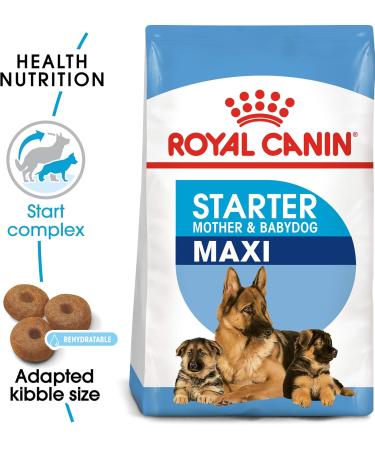 ROYAL CANIN - Maxi Starter Capacity: 4 kg - Buy Online on GoSupps.com