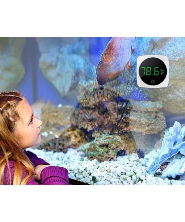Digital Aquarium Thermometer with LED Display - High Accuracy to 0.9F - Wireless - Ideal for Fish, Axolotl, Turtle Tank - Fahrenheit Measurement - Buy Online on GoSupps.com