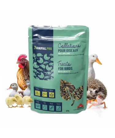 AnimalPro Crickets for birds 227 g - 0 5 LB