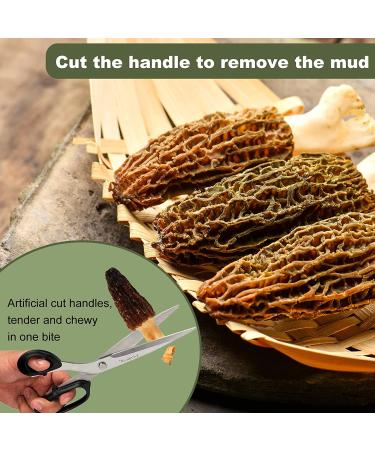 KASVAN Wild Dried Morel Mushrooms 1oz - Tender & Delicious Morchella Conica Meat - Rich in Nutrients, Easy to Eat - Dehydrated, Vegetarian-Friendly - Buy Online on GoSupps.com