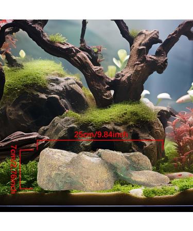 Ctpeng Aquarium Decoration Stone - Natural Look Decorative Rock & Hiding Place (25cm 13cm 7cm Resin) - Ideal Aquarium Accessories - Buy Online on GoSupps.com