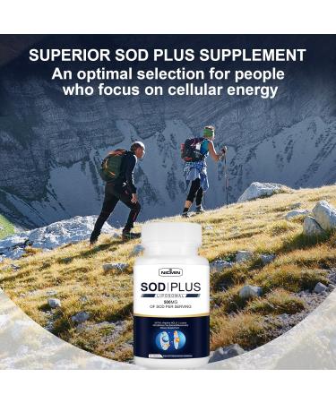 Superoxide Dismutase Supplement 500mg - Immune Support with Liposomal Glutathione Green Tea Resveratrol & Antioxidants - 60 Capsules - Buy Online on GoSupps.com