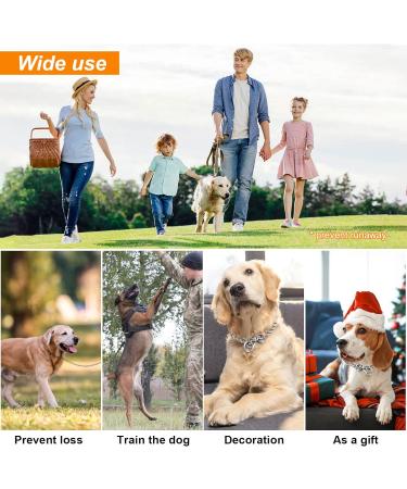 304 Stainless Steel Dog Chain Collar for Training & Walking - Small (10-20kg) - Buy Online on GoSupps.com