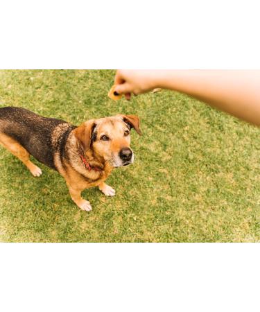 Canina Biotin Forte Powder 200g - Buy Online on GoSupps.com