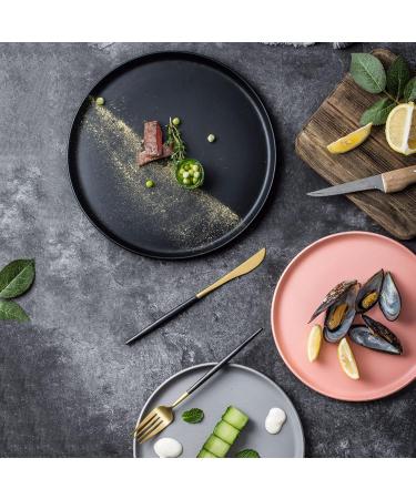 Serving Plates Frosted Dining Plate Round Home Kitchen Restaurant Cafe Dining Plate Dessert Plate Dining Plate Steak Plate Ceramic Simple Flat Plate for Appetizer Dinner and Desserts (Color : 005 Medium 005 - Buy Online on GoSupps.com