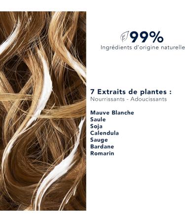 Phyto - Nutrition - Phyto 7 Nourishing Day Cream 50ml - Dry Hair - Discipline - Facilitates styling - Daily Nutrition - No Rinse - 99% Ingredients of Natural Origin - Buy Online on GoSupps.com