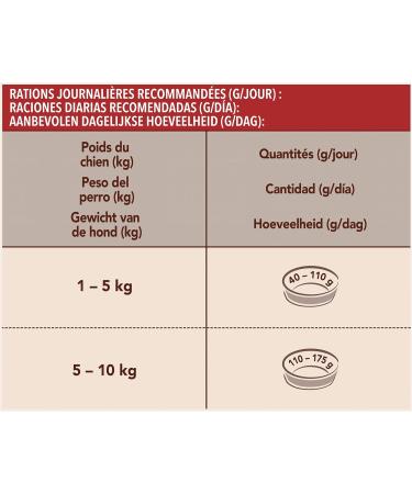 Purina One Mini Delicate Salmon With Rice - 1.5kg - Dry Food for Small Dogs with Sensitive Digestion - Pack of 6*1.5 KG - Buy Online on GoSupps.com