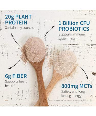 Garden of Life MD Protein Fit Plant-Based Weight Loss - Creamy Vanilla 21.34 oz - Buy Online on GoSupps.com