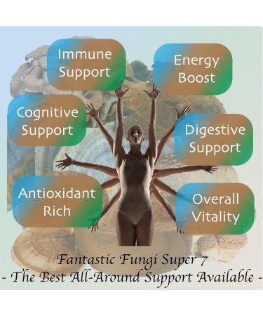 Super 7 mushroom extract powder - Fantastic Fungi -250 grams-Lion's Mane Reishi Turkey Tail Cordyceps Shiitake Chaga and Maitake - Value Pack (250 Grams) 250 g (Pack of 1) - Buy Online on GoSupps.com