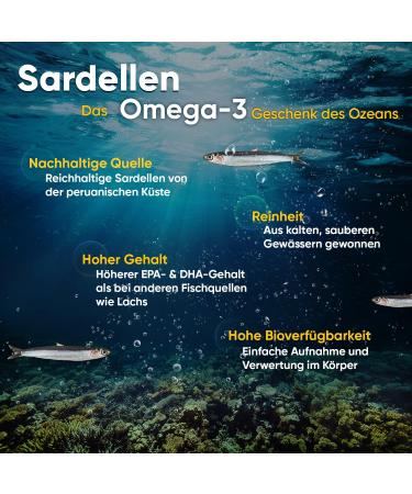 Omega 3 Fish Oil 1000mg - 400 Soft Capsules | 1+ Year Supply of EPA & DHA for Heart Brain & Blood Pressure | Sustainable Natural Anchovy Oil - Weightworld - Buy Online on GoSupps.com