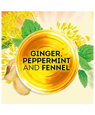 Lipton Soothe Your Tummy Herbal Tea Bags - Ginger Peppermint Fennel Blend (15 Count, Pack of 4) - Buy Online on GoSupps.com