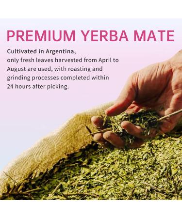Zooone Super Yerba Mate Capsules-Yerba Brain Formula with Lion's Mane-Gut Health Focus Memory Energy Supplement Yerba Mate Tea Alternative with Natural Caffeine-120 Capsules - Buy Online on GoSupps.com