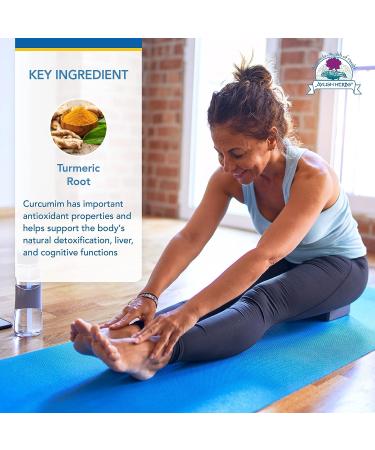 Ayush Herbs Curcumin 97% Herbal Turmeric Supplement - 90 Capsules | Whole-Body Support - Buy Online on GoSupps.com