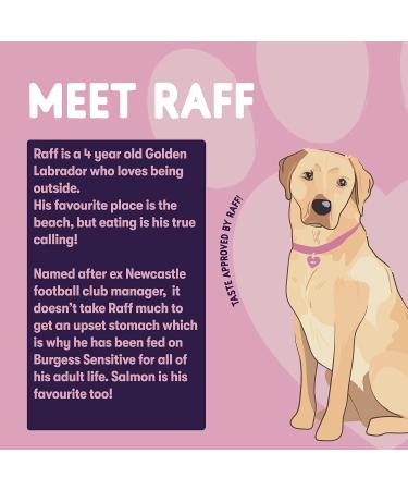 Burgess Sensitive Scottish Salmon & Rice 2kg - Buy Online on GoSupps.com