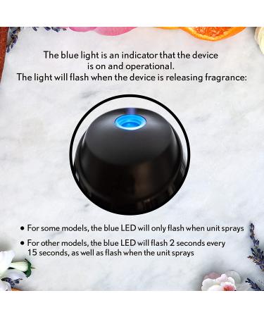 Air Wick Essential Mist Diffuser with Essential Oils - Freshener, Black - Buy Online on GoSupps.com