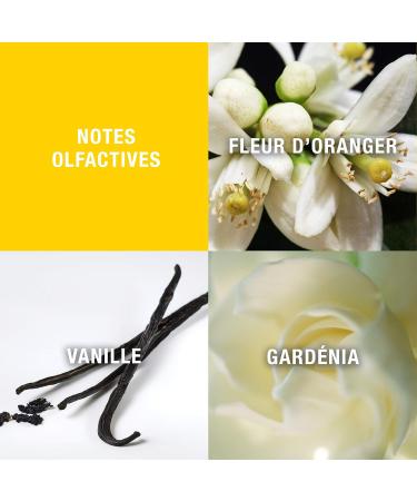 Giorgio by Giorgio Beverly Hills For Women Eau De Toilette Spray 1.7 fl oz - Buy Online on GoSupps.com