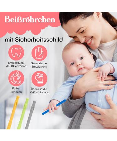 Bite Tube Set - 6 BPA-Free Silicone Dental Aids with 2 Cleaning Brushes for Baby Teething - Grayling & Violet Root Colors - Buy Online on GoSupps.com