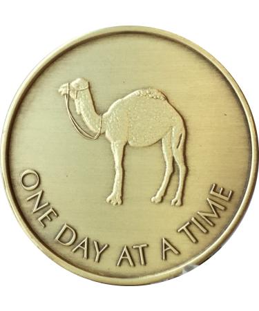 Camel One Day at A Time (24 Hr) - Bronze AA (Alcoholics Anonymous) -ACA-AL-ANON - Sober / Sobriety / Affirmation / Desire / Medallion / Coin / Chip by Generic