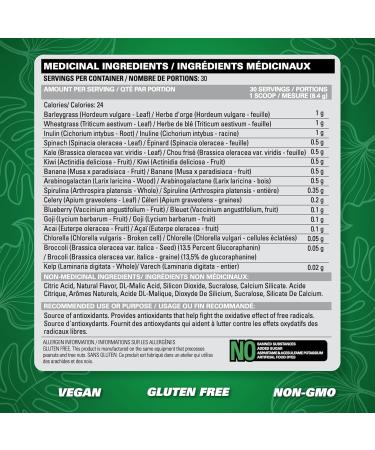 EHPlabs OxyGreens Super Greens Powder - Spirulina & Chlorella Superfood Green Juice Powder & Greens Supplements with Prebiotic Fibre Antioxidants & Immunity Support 30 Serves (Passionfruit) Passionfruit 30 Servings - Buy Online on GoSupps.com
