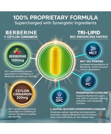 aSquared Nutrition Berberine with Ceylon Cinnamon Supplement - 1400mg Max Strength Complex - 120 Capsules - 1200mg HCl Powder Extract Plus Pills - Alternative to Gummies & Drops 120 Count (Pack of 1) - Buy Online on GoSupps.com