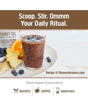 Om Mushroom Superfood Turkey Tail Powder | Organic Immune Support & Gut Health | 3.5 oz | 50 Servings - Buy Online on GoSupps.com
