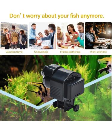 Podazz Aquarium Fish Feeder Vacation Aquarium Automatic Fish Food Dispenser Tank Feeder Timer Auto Feeders for Holiday Vacation Fish Dispenser (AF-2003D) AF-2003D Black - Buy Online on GoSupps.com
