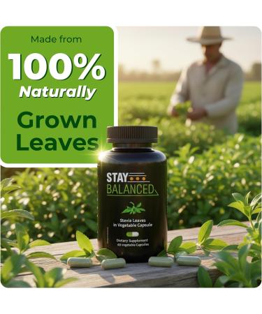 StayBalanced Natural Sugar Balance Supplement 60 Count 100% All Natural Cultivated Leaves Supports Sugar Balance & Overall Wellness Additive-Free Supplement - Buy Online on GoSupps.com