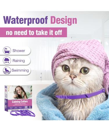 Soothing Cat Collar - Anti-Stress Neck Band for Anxiety Relief and Separation Fear - Buy Online on GoSupps.com