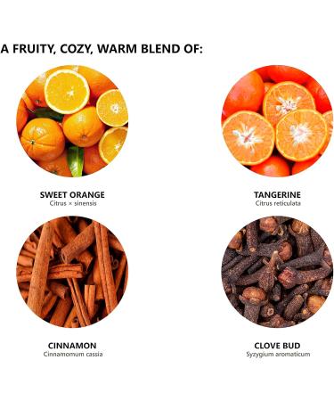 Christmas Joy Essential Oil Blend 1oz - 100% Natural Aromatherapy Oil for a Fresh Citrusy and Spicy Holiday Experience - Buy Online on GoSupps.com