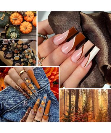 LILYCUTE Fall Winter Gel Nail Polish Set - 8 Colors Halloween & Thanksgiving Gel Polish Kit | Pumpkin Caramel Series | Soak Off LED Lamp Required | Gift for Women - Buy Online on GoSupps.com