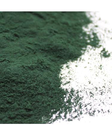 Naturejam Organic Spirulina Powder 1 Pound Bulk-Premium Culinary Grade for Smoothies 16 Ounce (Pack of 1) - Buy Online on GoSupps.com