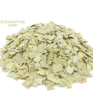 Eucalyptus Leaf and White Peony White Tea Herbal Infusion (25 Unbleached Tea Bags - 50g) - Buy Online on GoSupps.com
