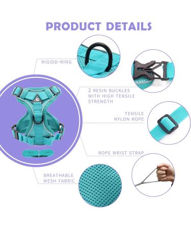 Buy Tikxlafe Cat Dishes with 150 cm Leash Adjustable Polyester Cat Linen Set for Kittens (Blauer See Size S) | International Shipping - Buy Online on GoSupps.com