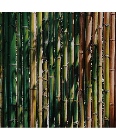 Cozyfeel Diabetic Socks Women - 4 Pairs Large Black Bamboo Ankle Socks for Neuropathy - Buy Online on GoSupps.com