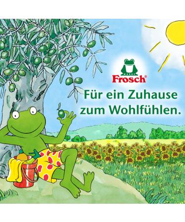 Buy Frosch Citrus Laundry Detergent 20WL - Eco-Friendly 1.8 Litre - International Shipping Available - Buy Online on GoSupps.com