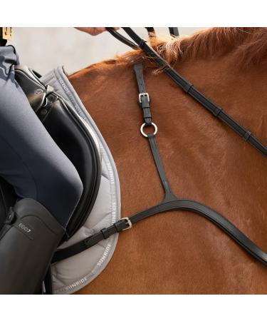  Sunride Real Leather Front Stuff Ascot for Horses - 5-Point & 3-Point Martingal Rings - Black Pony Tack  - Buy Online on GoSupps.com