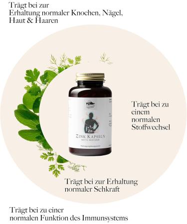 Herbal Trade Sankt Anton Zinc Capsules 25 mg - Premium High-Dose L-Histidine - Gluten & Lactose-Free - 365 Capsules - German Quality - Buy Online on GoSupps.com
