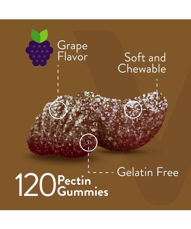Iron Gummies 20mg + Vitamin C 26mg for Iron Deficiency and Anemia - Energy Support, Blood Cell Formulation - Vegan Chewable Grape Gummy Chews 60 ct (Pack of 2) - Buy Online on GoSupps.com