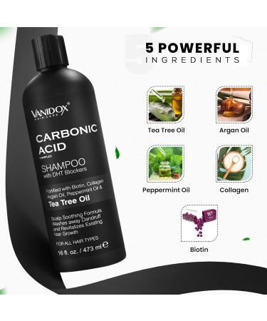 Carbonic Acid Shampoo for Men and Women with DHT Blockers - Made in USA - Stimulates Hair Growth, Scalp Exfoliator, Sulfate Free Shampoo with Biotin and Tea Tree Oil (16 Fl Oz) - Buy Online on GoSupps.com