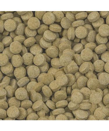 sera Viformo Nature 250 ml | Nutritious Catfish Food | No Colorants or Preservatives | Ideal for Bottom-Dwelling Fish | With Gammarus & Seaweed - Buy Online on GoSupps.com